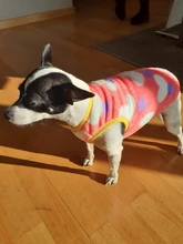 Chaleco de terciopelo para perros pequeños, ropa de invierno para mascotas, camiseta de yorkshire terrier de leopardo, chihuahua