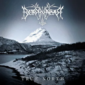 Borknagar / True North (2LP) 
Borknagar / True North (2LP)
