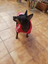 Adidog-ropa de invierno para mascotas, sudaderas pequeñas y de perro de talla mediana, ropa para cachorros, sudadera para perros, Chihuahua, novedad de 2020