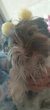 20 piezas hecho a mano lindo pequeño cachorro de perro arcos del pelo de perro mascota accesorios para el cabello lazos con flor perro moños de acicalamiento para perros productos para mascotas