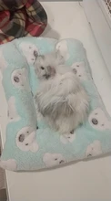 Bed-House Hamster-Accessories Hedgehog Nest Guinea-Pig Chinchilla Squirrel Small Animal