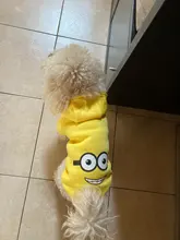 Ropa de dos patas para mascotas, abrigo cálido de lana con dibujos animados para perros y gatos, con orejas grandes, Otoño e Invierno