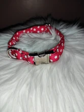 Collar personalizado para perro, collares para mascotas de nilón con estampado de puntos para mascota mediana grande, Pitbull, rojo, azul y negro