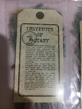 Pegatina decorativa Vintage para diario, pegatinas para álbum de recortes con flores y plantas de otoño, pegatinas para álbum de recortes, papelería japonesa