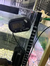 Reptiles y anfibios automáticos ajustables de acero inoxidable, calentador de temperatura para acuario, Tanque De Agua de peces, Reptiles y Amp