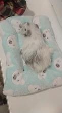Bed-House Hamster-Accessories Hedgehog Nest Guinea-Pig Chinchilla Squirrel Small Animal