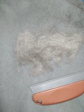 Nuevo cepillo para eliminar el pelo de mascotas perro gato eficiente Dispositivo de depilación del dispositivo de depilación coche muebles cojín ropa de cama silla