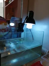 Bombilla de lámpara para reptiles suculentas, luz de ahorro de energía para tortugas, serpiente, lagarto, Lguanas, calor, calco, UVB 5,0 10,0, en oferta