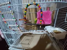 Columpio de madera Natural para loros, jaula colgante para mascotas con cuentas de colores, suministros para pájaros, campanas, juguetes, 1 unidad