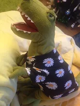 Ropa para mascotas ropa de primavera y novedad de verano de viaje de estilo impreso Camiseta de manga corta ropa pequeño cachorro perro mascota T camisa chaleco