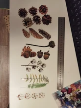 Pegatina decorativa Vintage para diario, pegatinas para álbum de recortes con flores y plantas de otoño, pegatinas para álbum de recortes, papelería japonesa