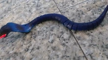 Figura de serpiente de juguete con Cable USB para niños, juguete de robot de Control remoto con Cable USB, divertido y terrorífico, regalo de Navidad para niños