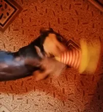 Dog-Toys Sound-Dolls Duck Pet Squeak Chew Funny Fleece Elephant Durability All-Pets Cat