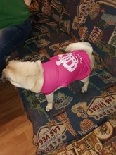 Ropa para Perro barata, adorable chaleco para Perro, camiseta para mascotas, disfraz para perros, Ropa de algodón para cachorros, trajes para perros pequeños