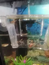 Caja de aislamiento de cría de pecera de acrílico transparente, soporte para incubadora de acuario