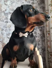 Leash-Dog-Accessories Necklace Pet-Collar Puppy Rhinestone Cats Small Dogs Bling Crystal-Bow