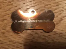 Etiqueta de identificación de mascotas de acero inoxidable, etiquetas de nombres de perro y gato, accesorios de Collar personalizados, oro, plata, rosa, oro, negro, grabado gratis