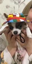 Dog-Cap Headdress-Accessories Puppy Beach-Visor Ear-Holes Dogs Small with for Canvas-Cap