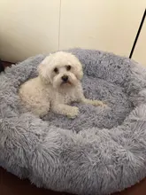 Bastante y mejor 18 colores largo perro de peluche 2017 Top papá Oso Polar animal camas calmante cama Hondenmand cachorro cojín para mascotas de invierno sofá cálido perro camas, perrera