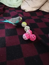 Pet Parrot Toy Bird Hollow Bell Ball For Parakeet Cockatiel Chew Fun Cage Toys 23