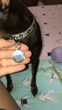 Etiqueta de identificación de mascotas de acero inoxidable, etiquetas de nombres de perro y gato, accesorios de Collar personalizados, oro, plata, rosa, oro, negro, grabado gratis