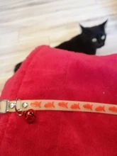 Collares brillantes con campanas para mascotas, brillo nocturno, luz para gatos, collar luminoso