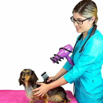 Hands-free holder for dryer 
Hands-free holder for dryer