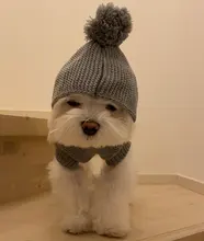 Sweater Puppy-Dog French Bulldog PETCIRCLE Teddy Chihuahau Winter Autumn Starfish Nordic