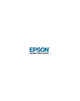 Epson GF Stylus Photo 7900/9900 Cartridge Light Cyan 
Epson GF Stylus Photo 7900/9900 Cartridge Light Cyan