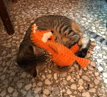 De pana de pana juguetes para perros pequeños perros grandes de forma de Animal felpa mascota cachorro chillón masticar juguete mordedor resistente accesorios de mascotas suministros