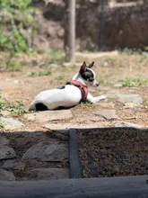 Empuñadura de recortador, nueva maquinilla de cortar el pelo de barbero, goma antideslizante, diseño antideslizante, para peluquero, anillos decorativos de silicona