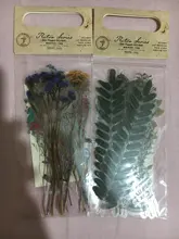 Pegatina decorativa Vintage para diario, pegatinas para álbum de recortes con flores y plantas de otoño, pegatinas para álbum de recortes, papelería japonesa
