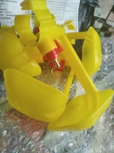 Nipple-Drinkers Chick Farming Poultry-Cups Broiler Automatic Cages Brooders-Day-Old Plastic