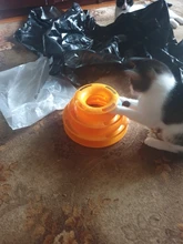 10Pcs Colorful Cats Ball Play Chew Scratch Training Toys Chase Ball for Kitten Play Disk