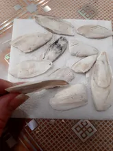 1 bolsa de Cuttlebone, Sepia, hueso, pescado, pájaro, comida, Pickstone de calcio, mascota