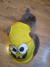 T-Shirt Small Dogs Cartoon Chihuahua Fashion Hot Cute for Pet-Dog-Clothes Cat