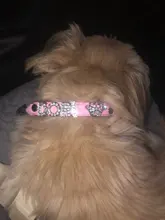 Collares para perro cachorro con diamantes de imitación ostentosos, Collar personalizado para perros pequeños y Chihuahua, dijes con nombre gratis, accesorios para mascotas