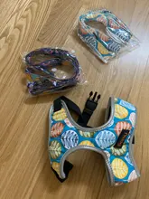 Arnés para perro o gato de nailon, arnés para perro o gato impreso, arneses para perros pequeños, chaleco para caminar para mascotas, correa para gatos, Bulldog Francés, Chihuahua, Yorkshire