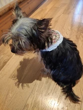 Scarf Pet-Accessories Dog-Supplies Puppy Cat-Bandana Washable-Collar Medium Cats Adjustable