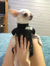 Dog Coat Jacket Pet-Dog-Clothes Down French-Bulldog Chihuahua Winter Fashion Small Medium-Sized