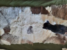 Genuina piel de oveja placas DIY material prendas de piel manta caliente chico de piel de cordero alfombra natural alfombras