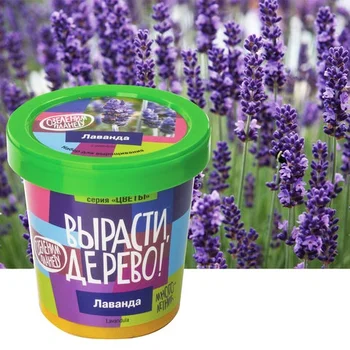 Set for growing lavender 
Set for growing lavender