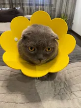 Collares protectores para perros y gatos, cubrebocas de protección curativa para perros y gatos, cubrebocas antimordedura con forma de cono para el cuello