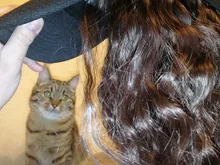 Gorra de béisbol corta de 10 pulgadas para niña, gorro de béisbol con pelo sintético de moda Bob, pelucas de fibra resistente al calor para exteriores