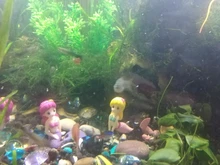 Accesorios de decoración de Acuario, accesorios para mascotas, pecera, adorno bonito de sirenita, pecera, escritorio, 1 Uds.