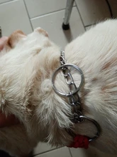 Collar de Color mejorado de alta calidad para perros grandes, Pastor Alemán, cadena P, ajustable, para perros medianos y grandes