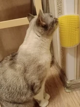 Cepillo esquinero para gatos, cepillo peine para masaje de gatos, para la cara, con peine para hacer cosquillas, producto para mascotas