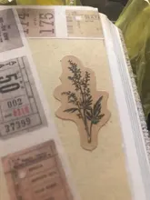 Lote de 45 unidades de pegatinas con bonitos animales del bosque, pegatinas adhesivas para decoración bricolaje artesanal, pegatinas para álbumes de recortes, papelería de regalo