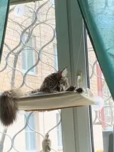 Hammock Hanging-Beds Pet Window Cute Bearing Sunny-Seat Cat Comfortable Soft 20kg Pet-Shelf