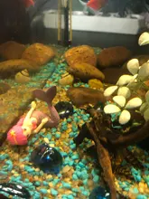 Accesorios de decoración de Acuario, accesorios para mascotas, pecera, adorno bonito de sirenita, pecera, escritorio, 1 Uds.